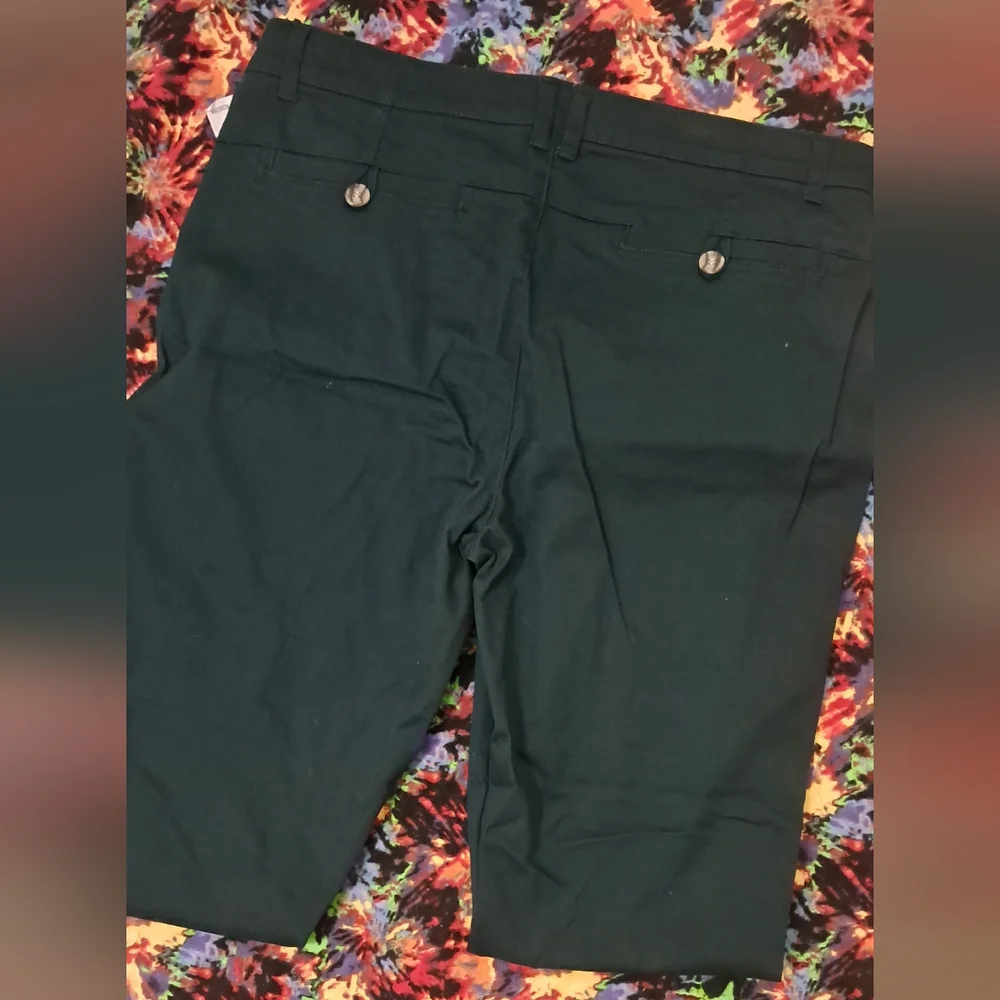 NWT Green Democracy Ab Solution High Rise Trouser - Picture 4 of 4
